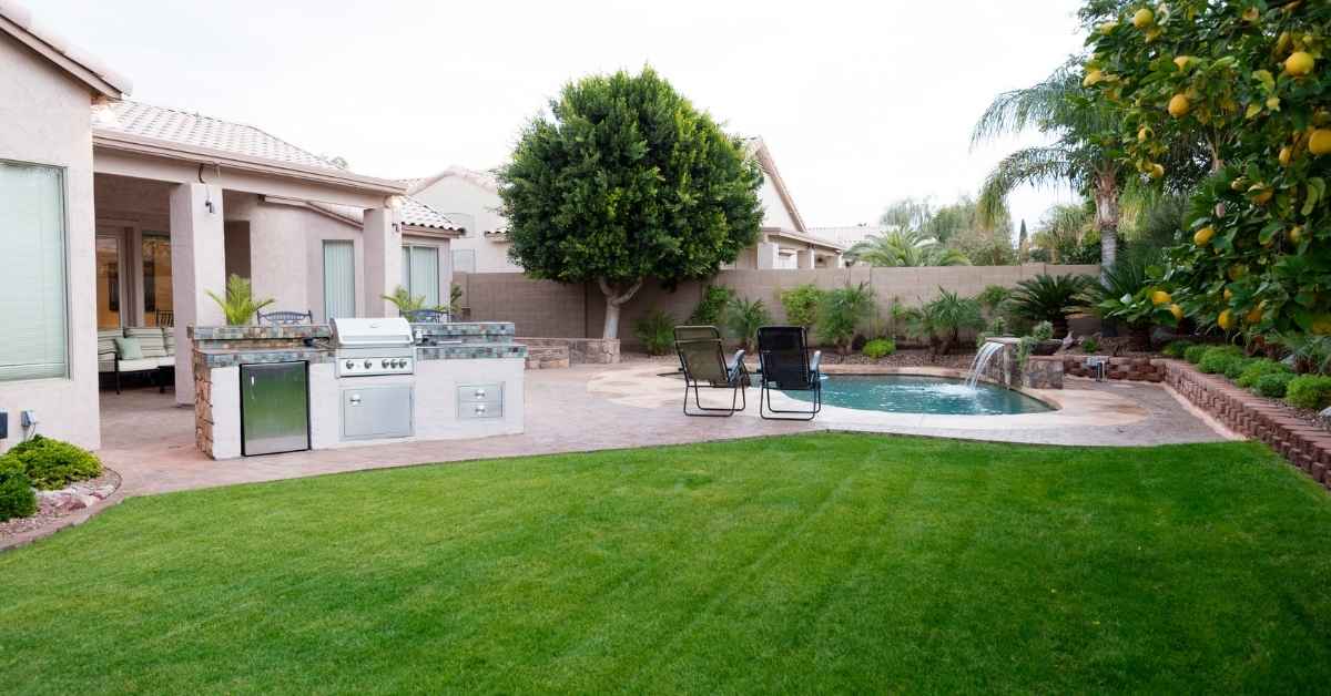 Backyard of a home in Scottsdale with grass, outdoor kitchen, pool, and orange tree