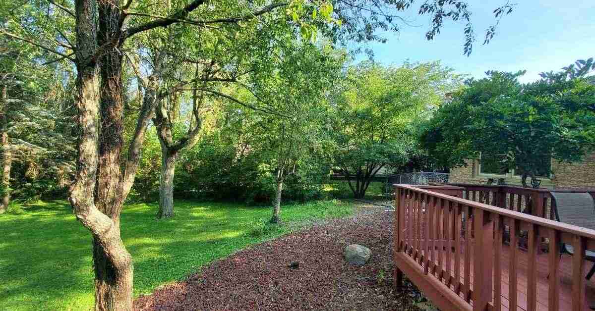 Homer Glen wooded backyard showing part of the raised deck and a portion of the brick house.
