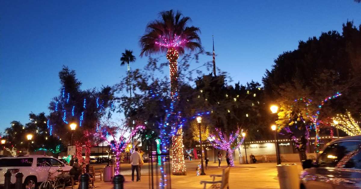 People strolling through a Glendale park decorated with Christmas lights on palm trees and cacti